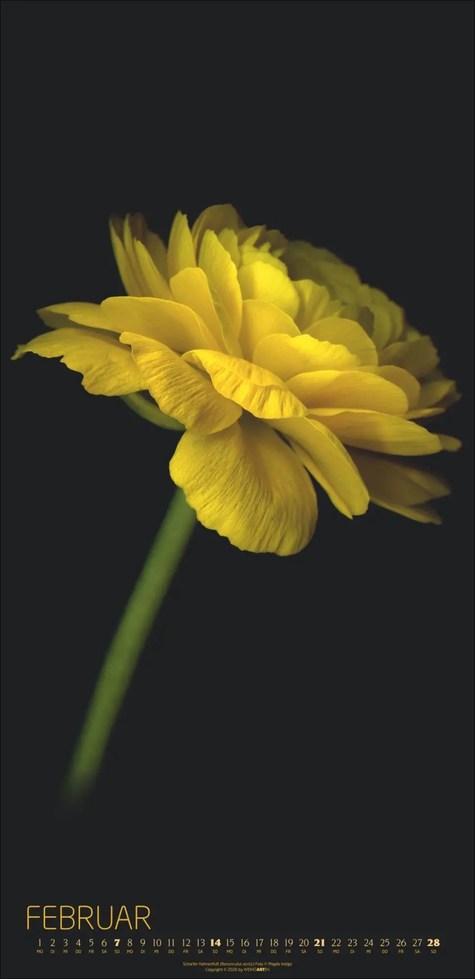 Bild: 9783839904084 | Die Magie der Blumen Kalender 2027 | Magda Indigo | Kalender | 14 S.