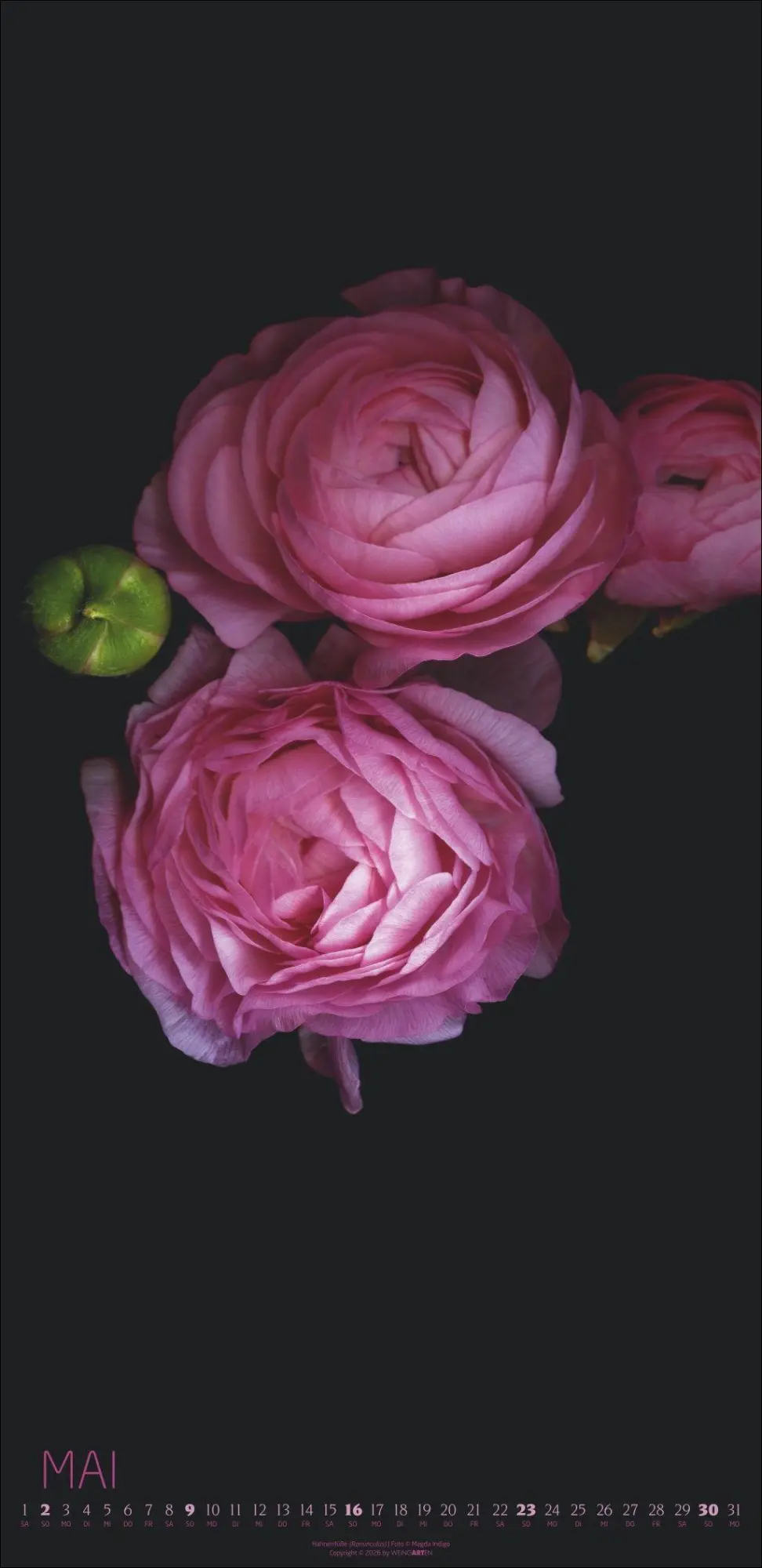 Bild: 9783839904084 | Die Magie der Blumen Kalender 2027 | Magda Indigo | Kalender | 14 S.