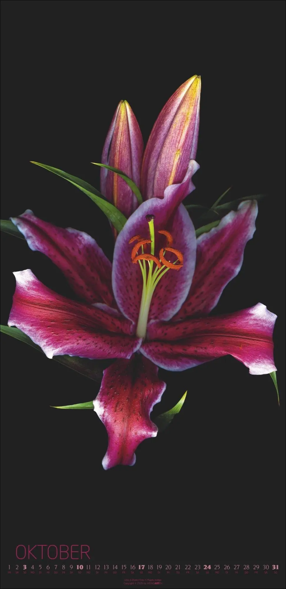 Bild: 9783839904084 | Die Magie der Blumen Kalender 2027 | Magda Indigo | Kalender | 14 S.