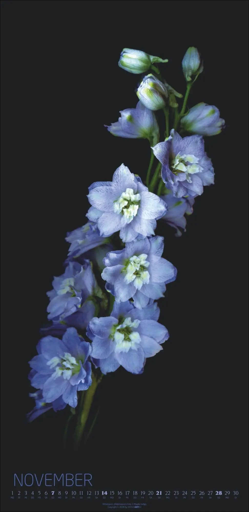 Bild: 9783839904084 | Die Magie der Blumen Kalender 2027 | Magda Indigo | Kalender | 14 S.