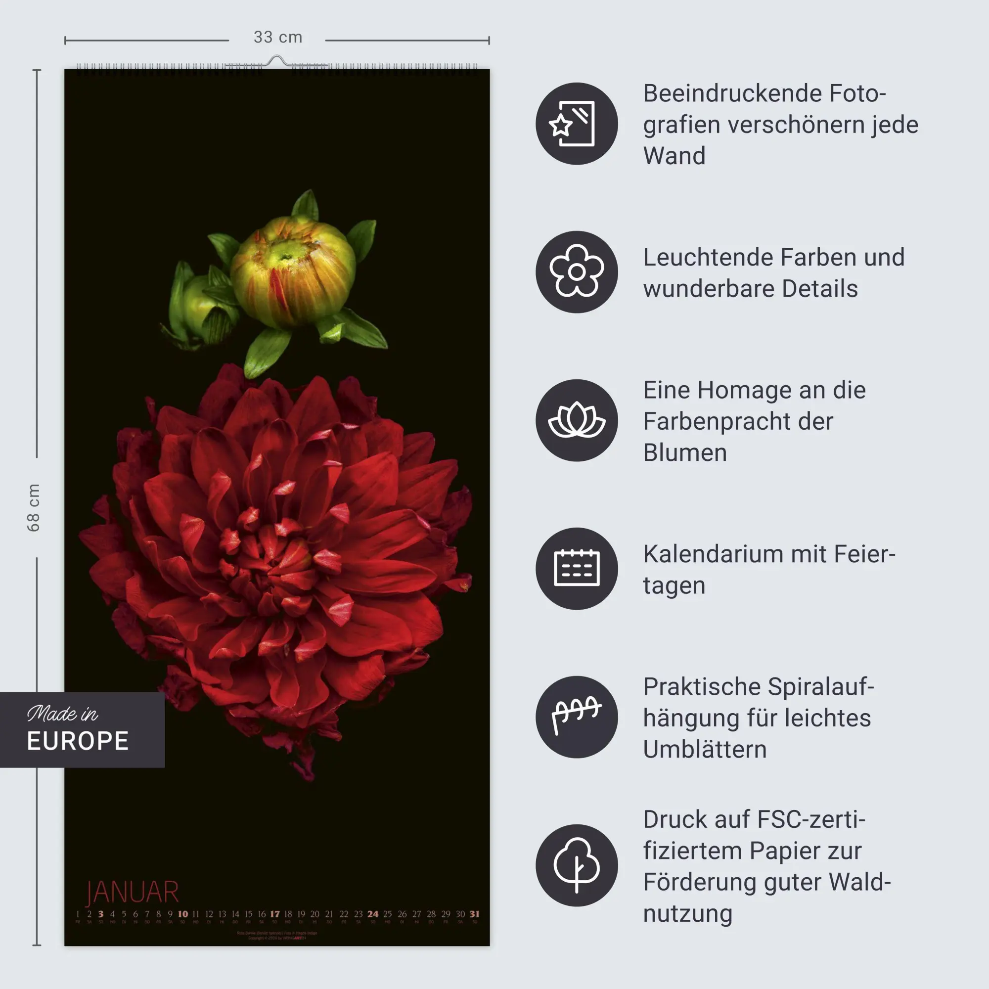 Bild: 9783839904084 | Die Magie der Blumen Kalender 2027 | Magda Indigo | Kalender | 14 S.