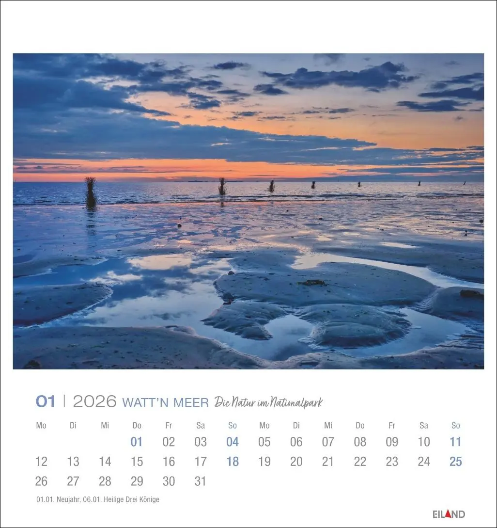 Bild: 9783964024084 | Watt'n Meer Postkartenkalender 2026 - Die Natur im Nationalpark | 2026