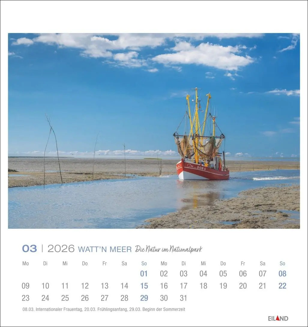 Bild: 9783964024084 | Watt'n Meer Postkartenkalender 2026 - Die Natur im Nationalpark | 2026