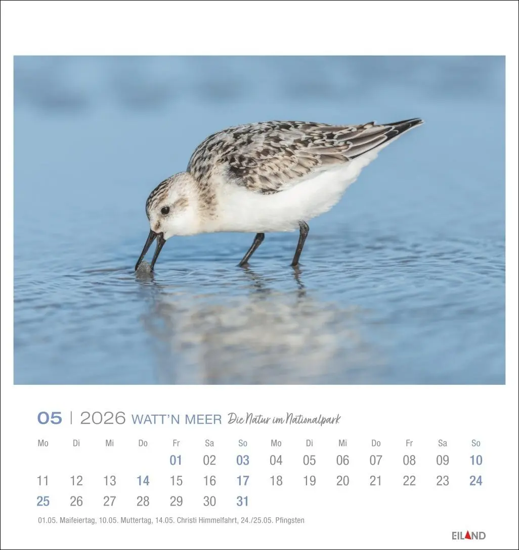 Bild: 9783964024084 | Watt'n Meer Postkartenkalender 2026 - Die Natur im Nationalpark | 2026