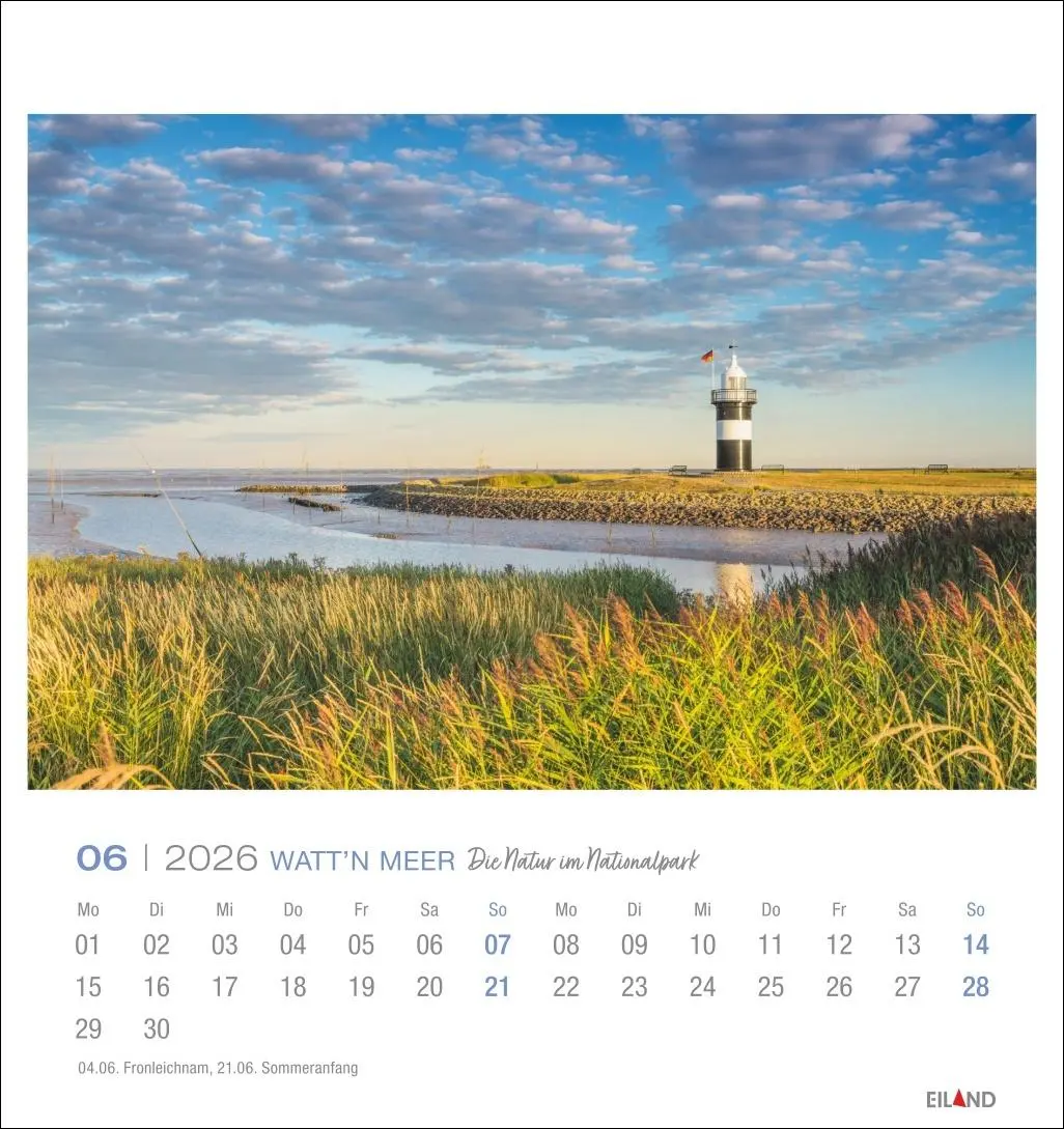 Bild: 9783964024084 | Watt'n Meer Postkartenkalender 2026 - Die Natur im Nationalpark | 2026