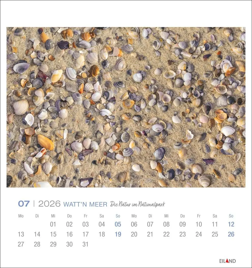 Bild: 9783964024084 | Watt'n Meer Postkartenkalender 2026 - Die Natur im Nationalpark | 2026
