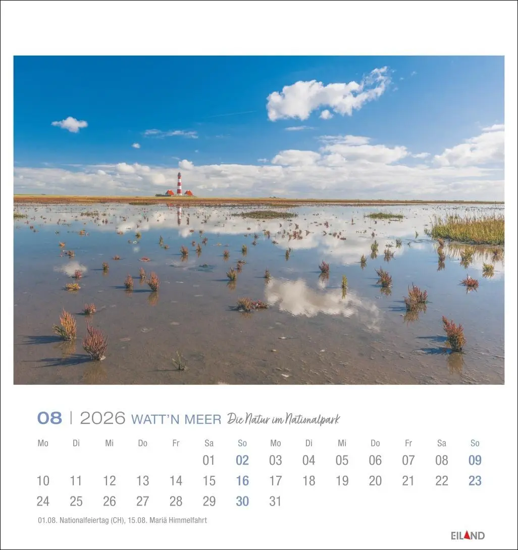 Bild: 9783964024084 | Watt'n Meer Postkartenkalender 2026 - Die Natur im Nationalpark | 2026