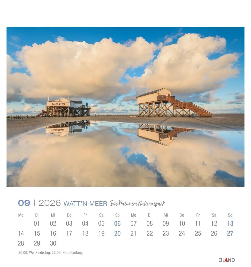 Bild: 9783964024084 | Watt'n Meer Postkartenkalender 2026 - Die Natur im Nationalpark | 2026