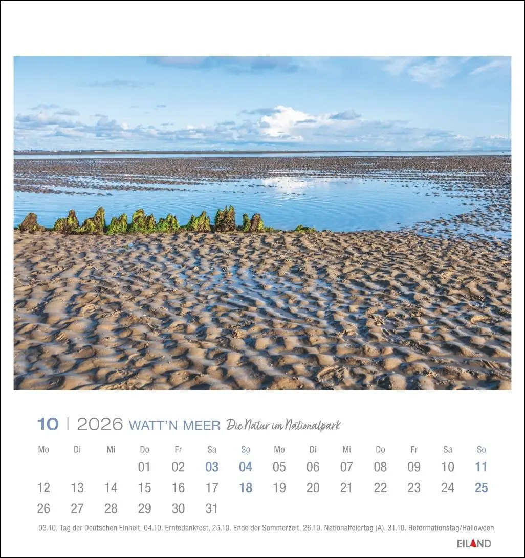 Bild: 9783964024084 | Watt'n Meer Postkartenkalender 2026 - Die Natur im Nationalpark | 2026