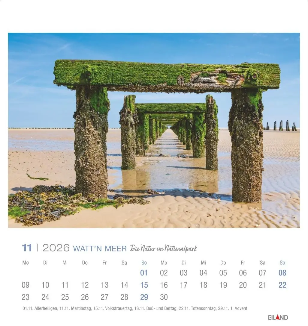 Bild: 9783964024084 | Watt'n Meer Postkartenkalender 2026 - Die Natur im Nationalpark | 2026