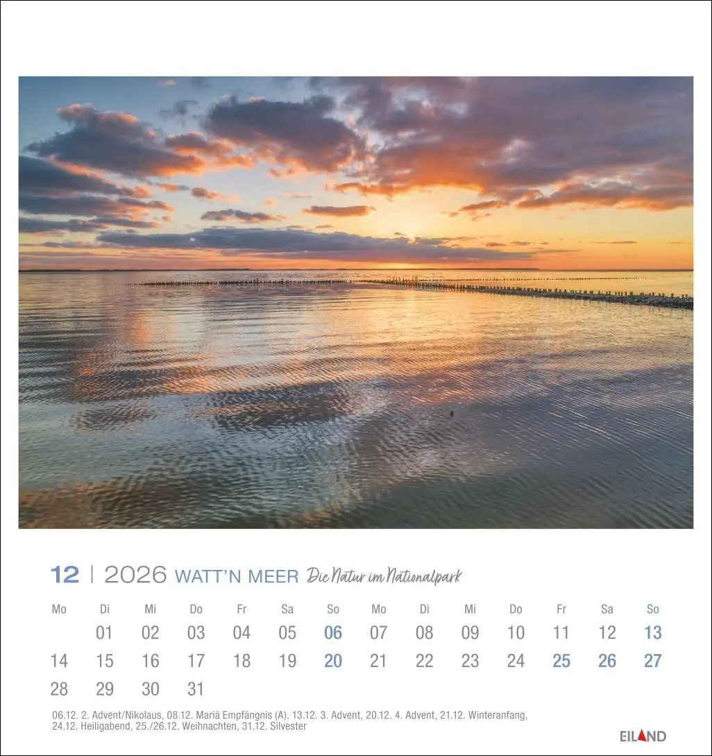 Bild: 9783964024084 | Watt'n Meer Postkartenkalender 2026 - Die Natur im Nationalpark | 2026