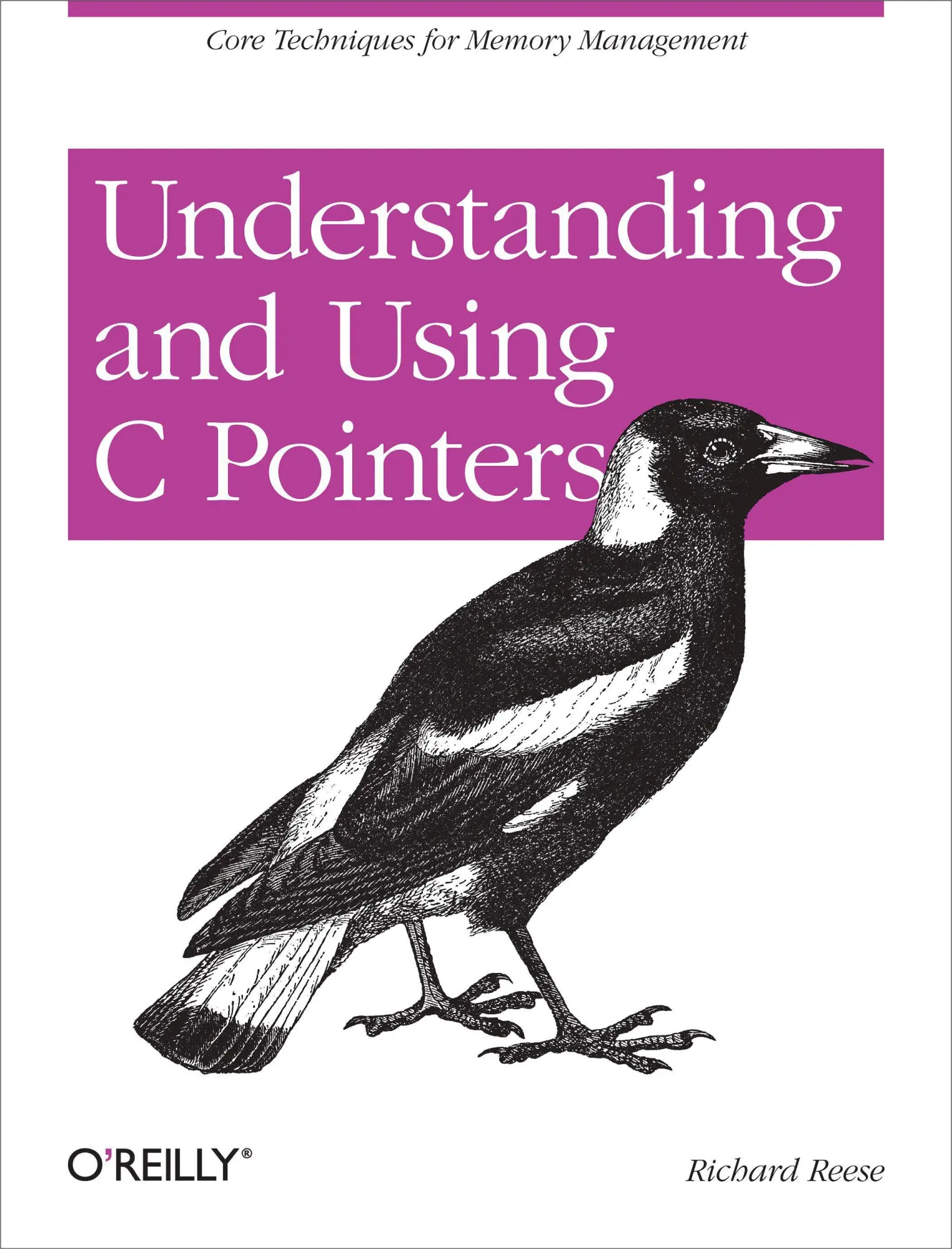 Cover: 9781449344184 | Understanding and Using C Pointers | Richard M Reese | Taschenbuch
