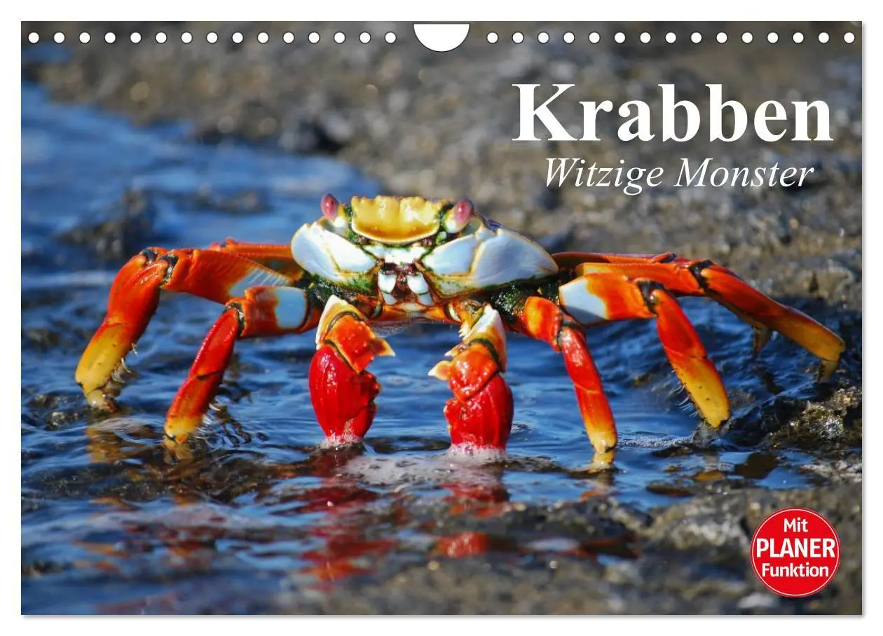 Cover: 9783457994184 | Krabben. Witzige Monster (Wandkalender 2026 DIN A4 quer), CALVENDO...