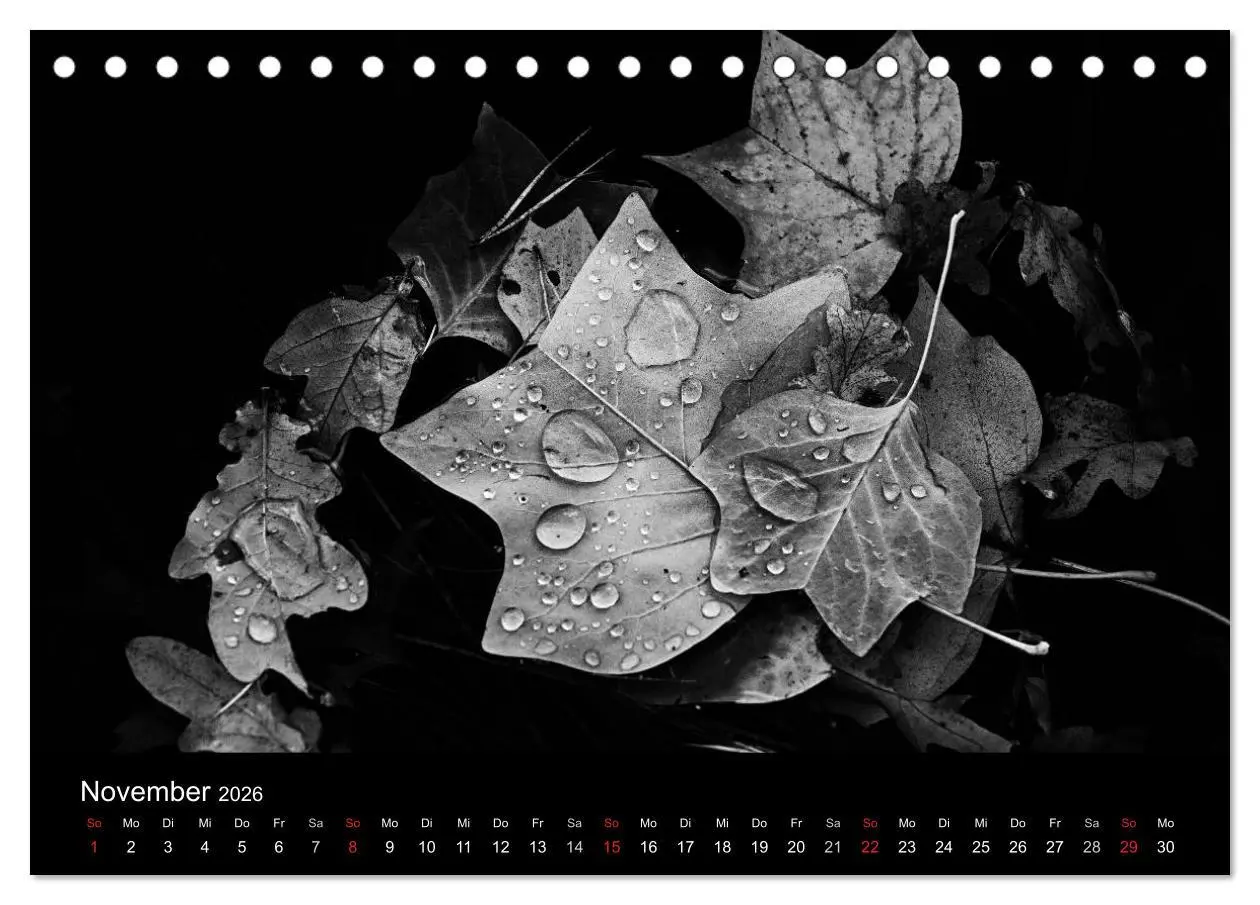 Bild: 9783516154184 | Das Licht in Schwarz und Weiß (Tischkalender 2026 DIN A5 quer),...