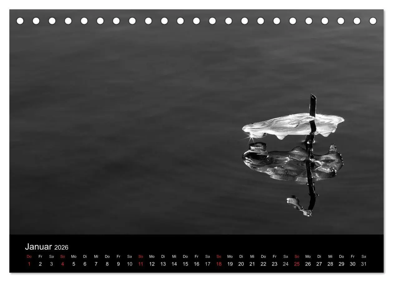 Bild: 9783516154184 | Das Licht in Schwarz und Weiß (Tischkalender 2026 DIN A5 quer),...