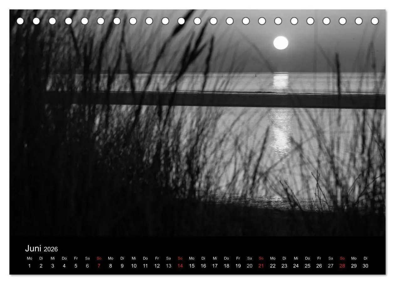 Bild: 9783516154184 | Das Licht in Schwarz und Weiß (Tischkalender 2026 DIN A5 quer),...