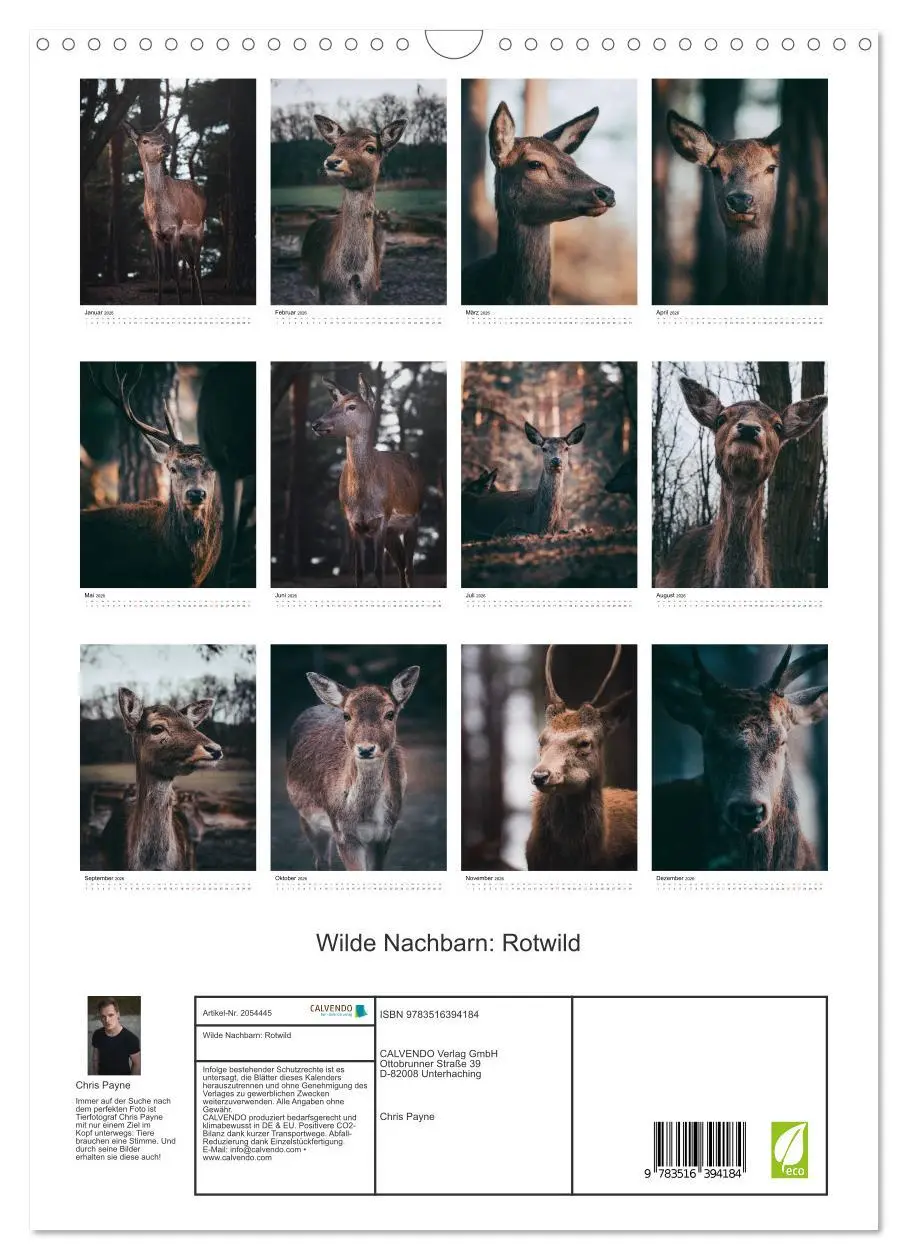 Bild: 9783516394184 | Wilde Nachbarn: Rotwild (Wandkalender 2026 DIN A3 hoch), CALVENDO...