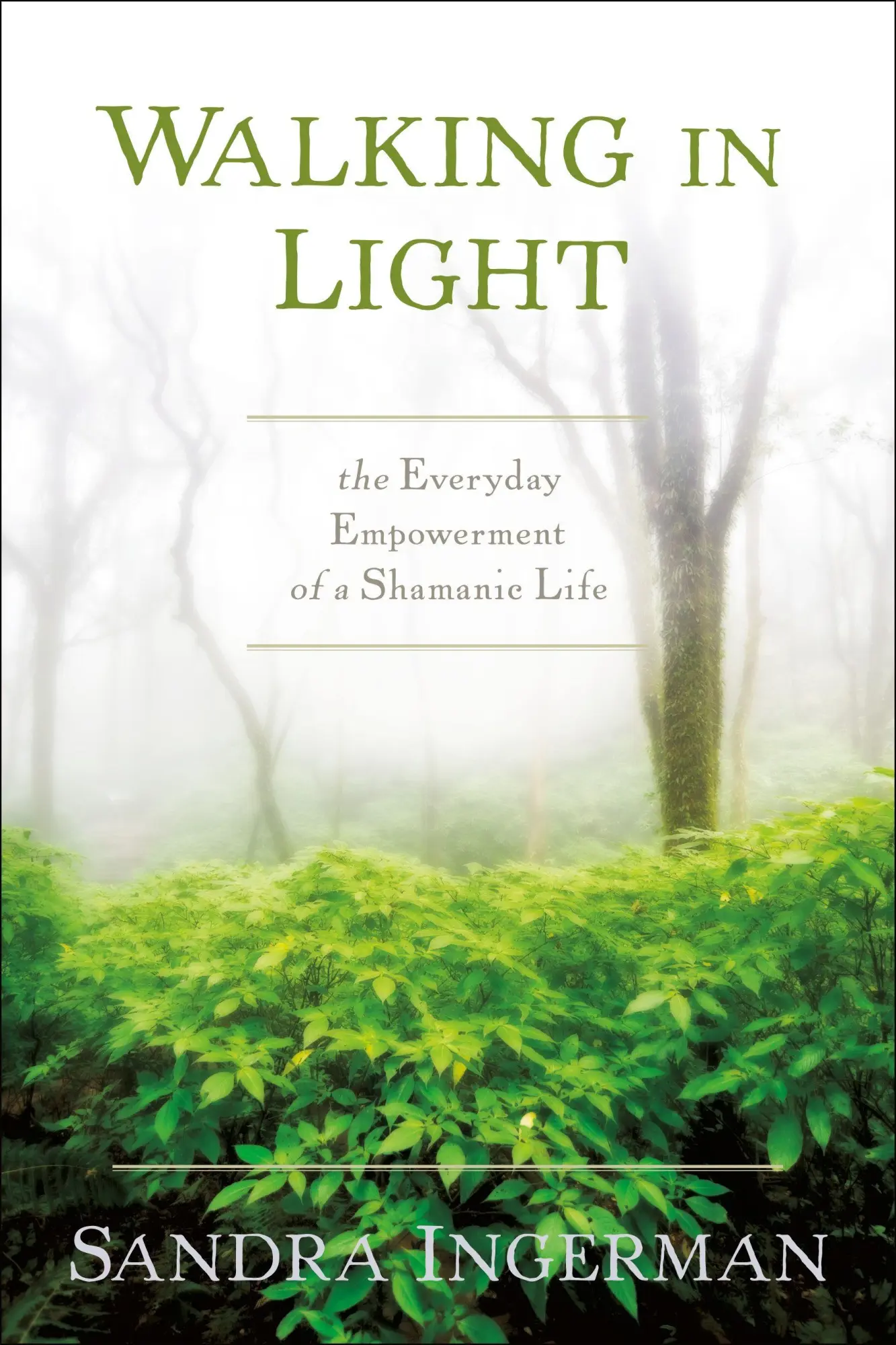 Cover: 9781622034284 | Walking in Light | The Everyday Empowerment of a Shamanic Life | Buch