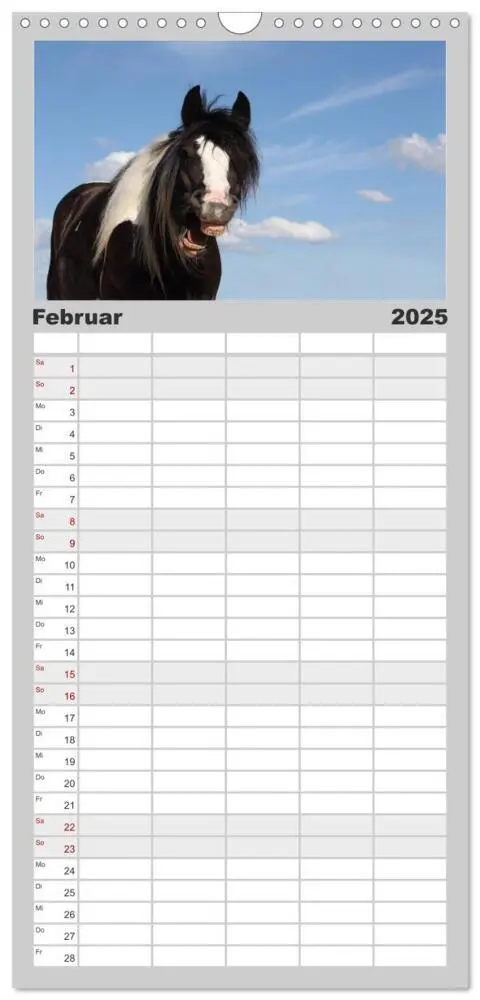 Bild: 9783457124284 | Familienplaner 2025 - Pferde - im Galopp durch's Jahr mit 5 Spalten...