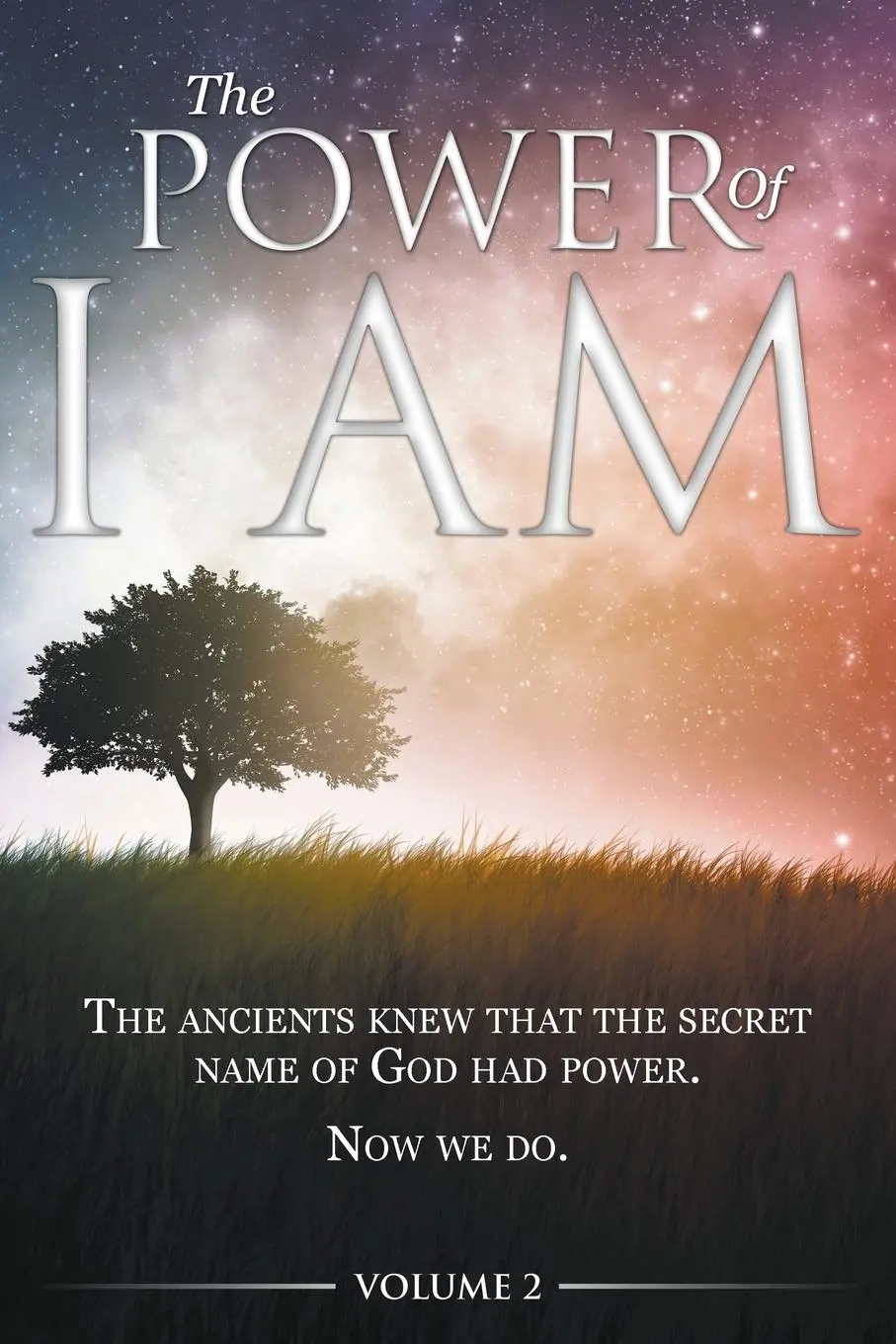 Cover: 9780990964384 | The Power of I AM - Volume 2 | David Allen | Taschenbuch | Deutsch