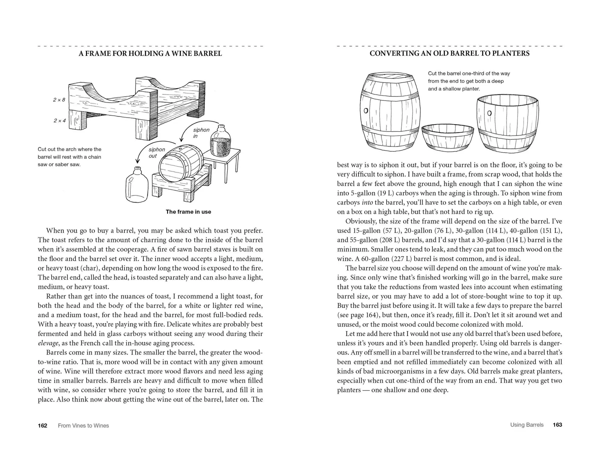 Bild: 9781612124384 | From Vines to Wines, 5th Edition: The Complete Guide to Growing...
