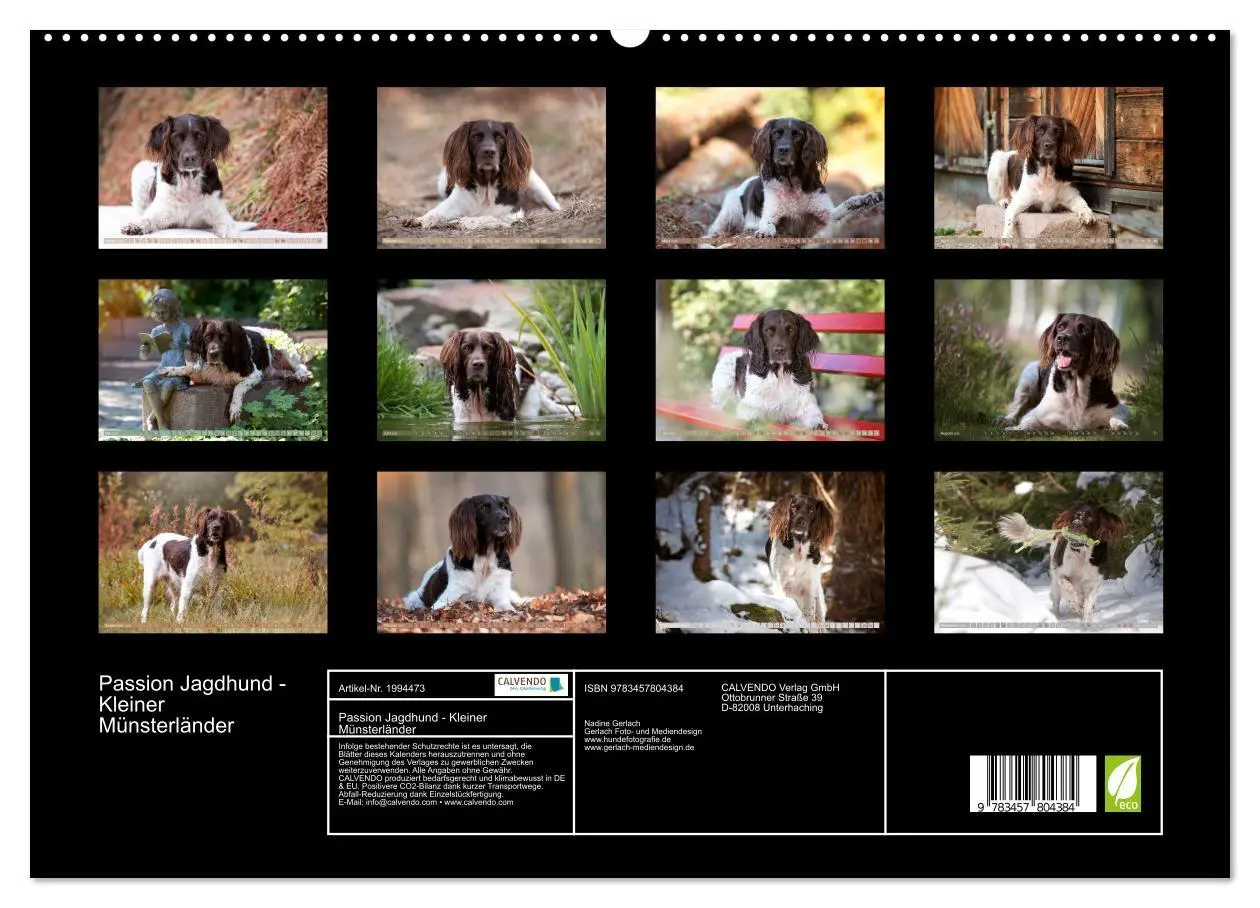Bild: 9783457804384 | Passion Jagdhund - Kleiner Münsterländer (hochwertiger Premium...