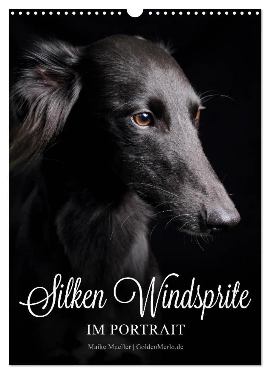Cover: 9783569844384 | Silken Windsprite im Portrait (Wandkalender 2027 DIN A3 hoch),...