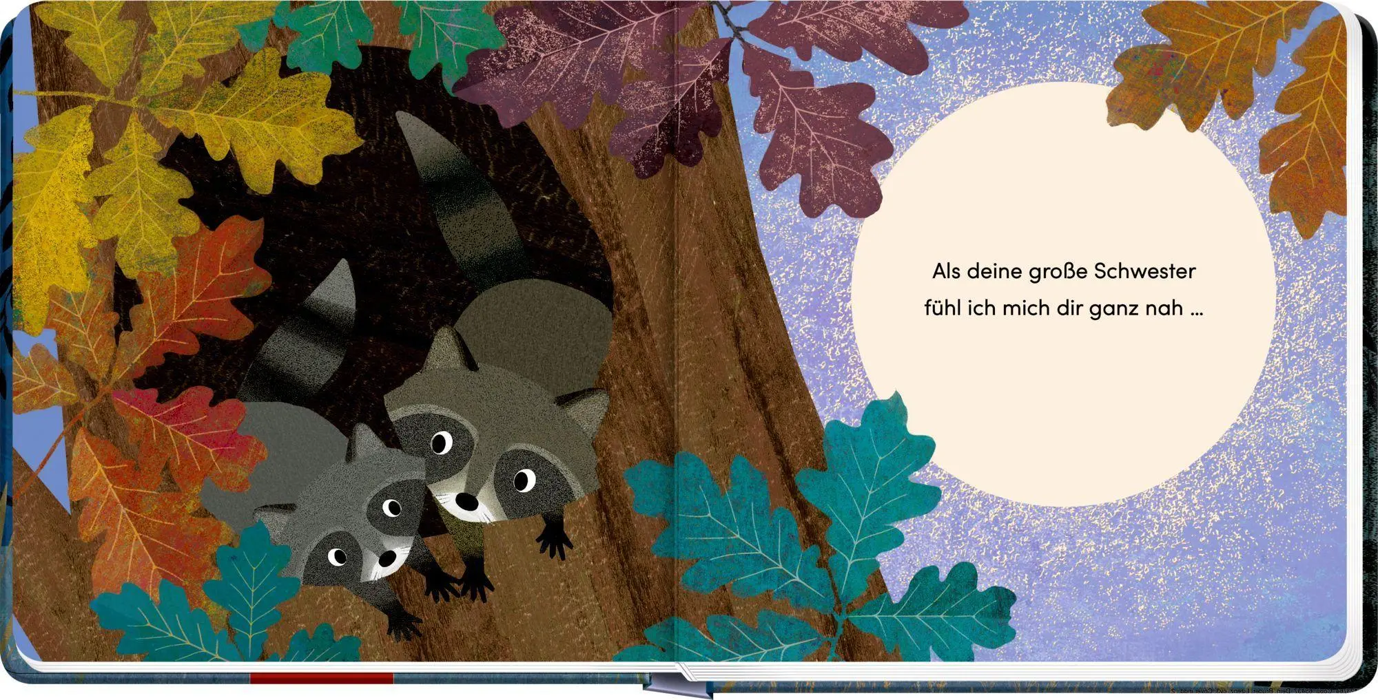 Bild: 9783649654384 | Weil ich deine Schwester bin ... | Susannah Shane | Buch | 22 S.