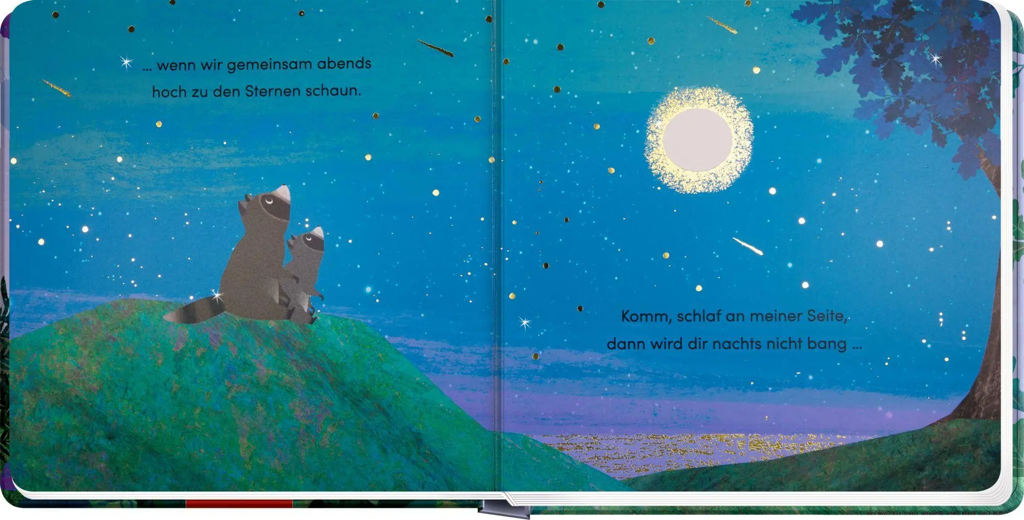 Bild: 9783649654384 | Weil ich deine Schwester bin ... | Susannah Shane | Buch | 22 S.
