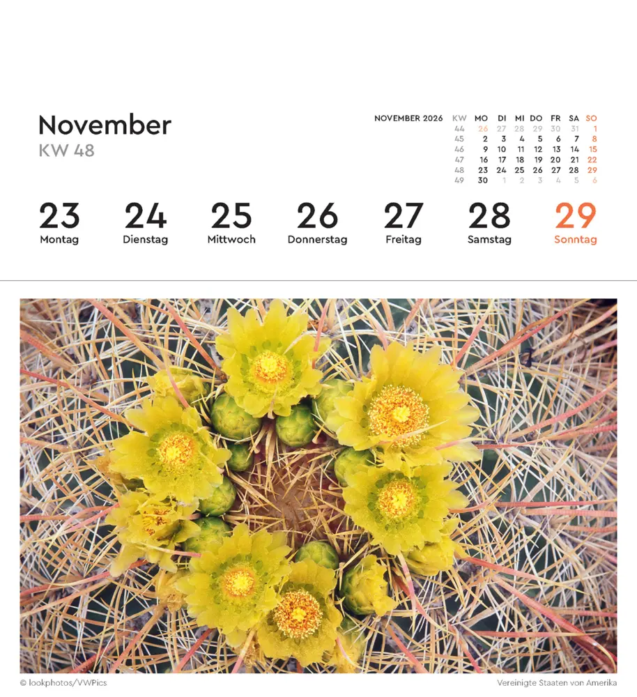 Bild: 9783965914384 | Aufgeblüht - KUNTH Postkartenkalender 2026 | Kalender | 53 S. | 2026