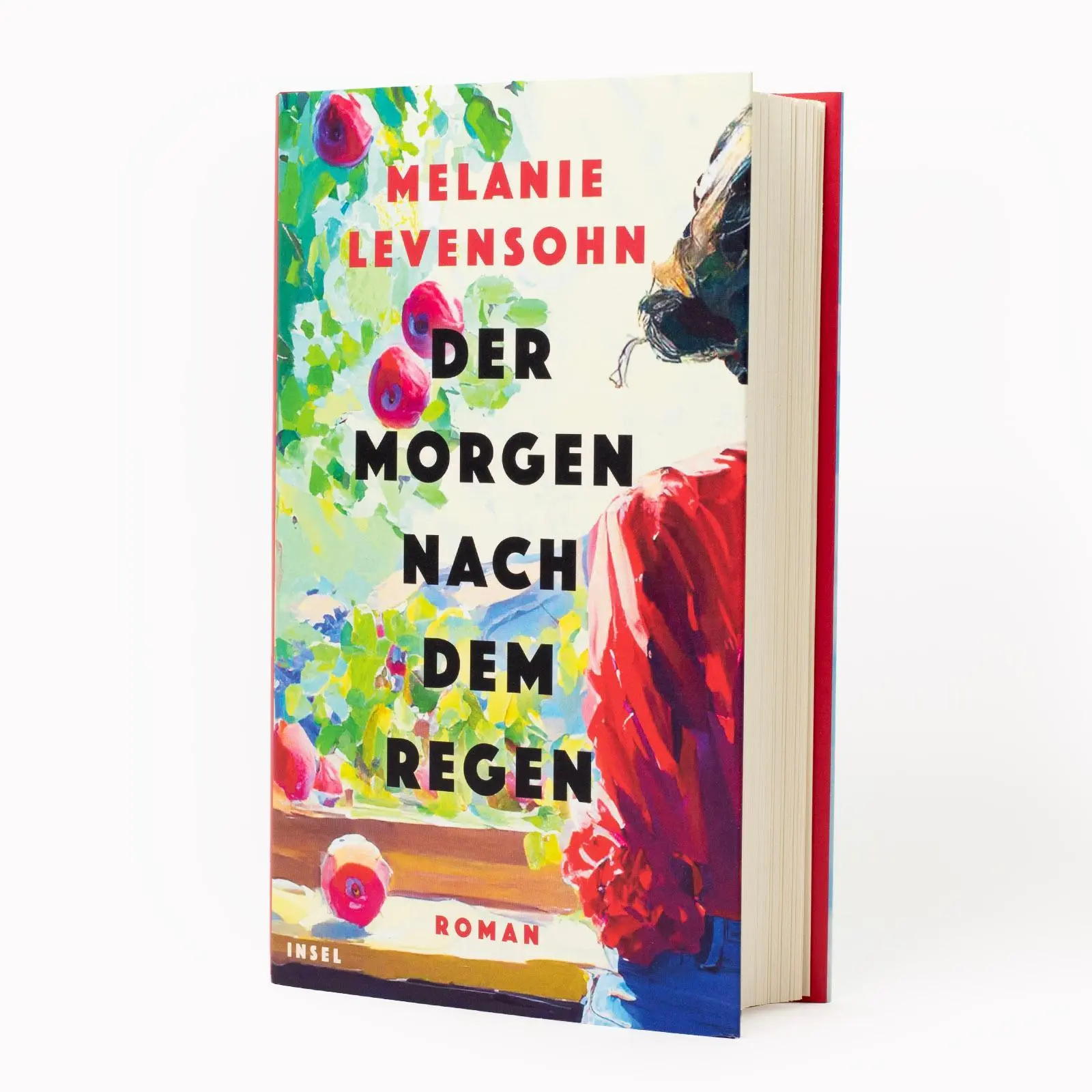 Bild: 9783458644484 | Der Morgen nach dem Regen | Melanie Levensohn | Buch | 431 S. | 2024