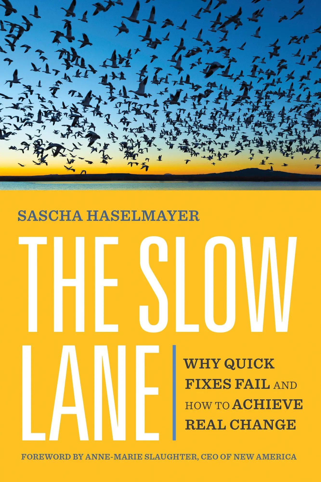 Cover: 9781523004584 | The Slow Lane | Why Quick Fixes Fail and How to Achieve Real Change