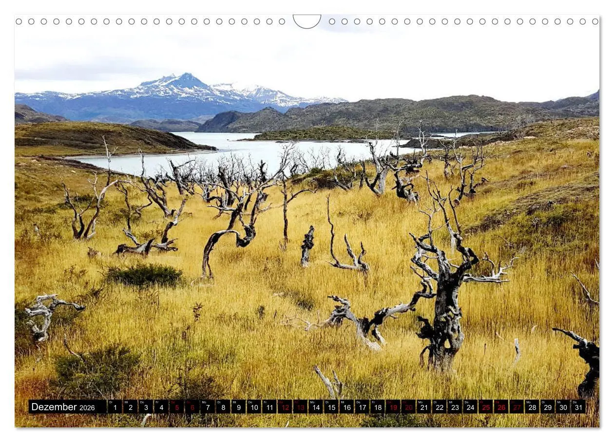 Bild: 9783457884584 | Patagonien - Parques Torres del Paine und Los Glaciares...