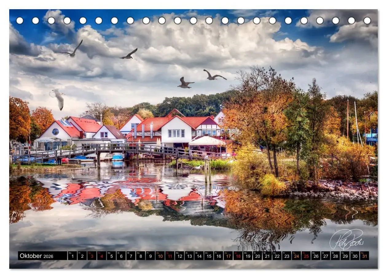 Bild: 9783516114584 | Am Steinhuder Meer (Tischkalender 2026 DIN A5 quer), CALVENDO...