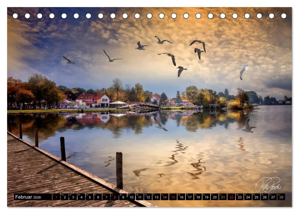 Bild: 9783516114584 | Am Steinhuder Meer (Tischkalender 2026 DIN A5 quer), CALVENDO...
