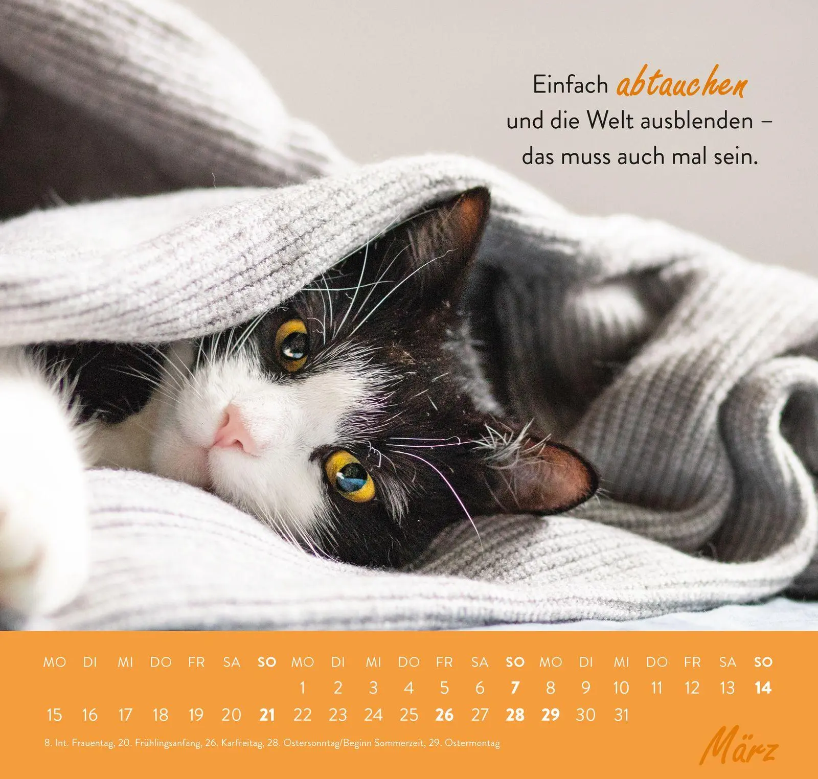 Bild: 4036442014684 | Wandkalender 2027: Einfach mal abhängen | Groh Verlag | Kalender