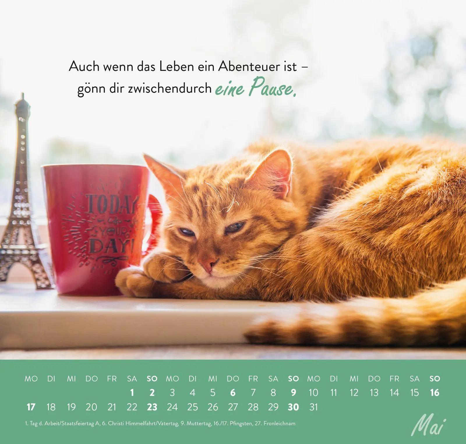Bild: 4036442014684 | Wandkalender 2027: Einfach mal abhängen | Groh Verlag | Kalender