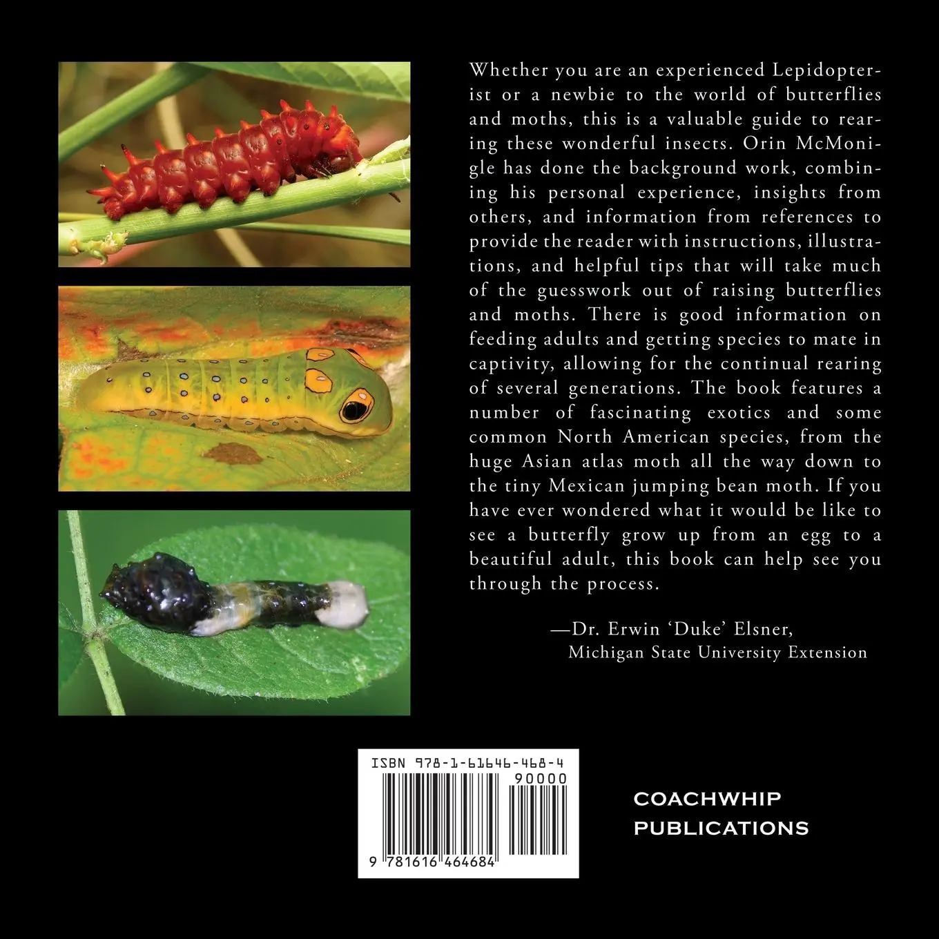 Rückseite: 9781616464684 | Lepidopteran Zoology | Orin Mcmonigle | Taschenbuch | Englisch | 2019