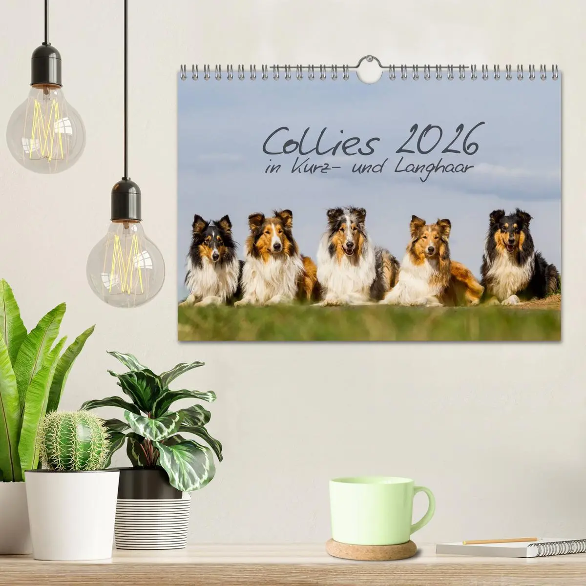 Bild: 9783516034684 | Collies 2026 in Kurz- und Langhaar (Wandkalender 2026 DIN A4 quer),...
