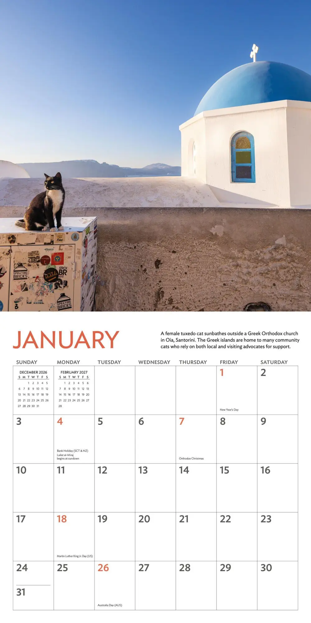 Bild: 9781523534784 | Cats of the World Wall Calendar 2027 | Andrew Marttila (u. a.) | 2027