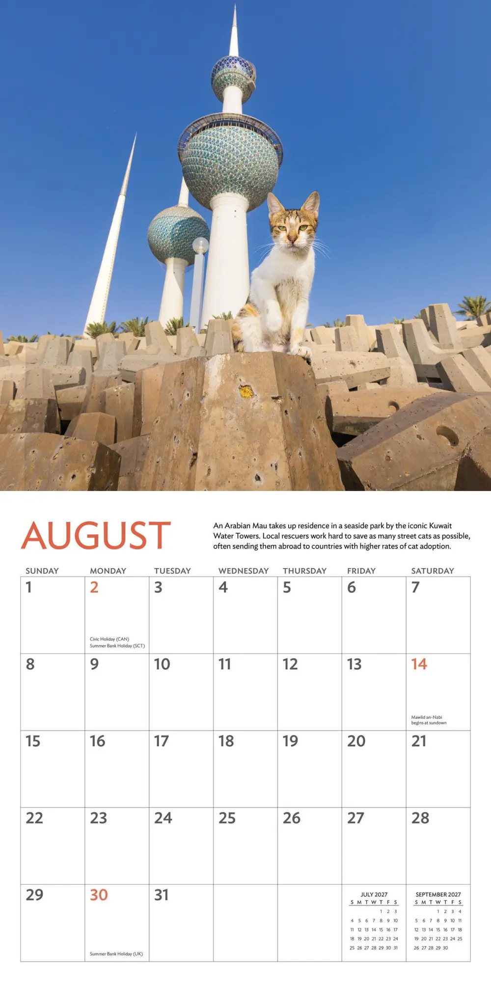 Bild: 9781523534784 | Cats of the World Wall Calendar 2027 | Andrew Marttila (u. a.) | 2027