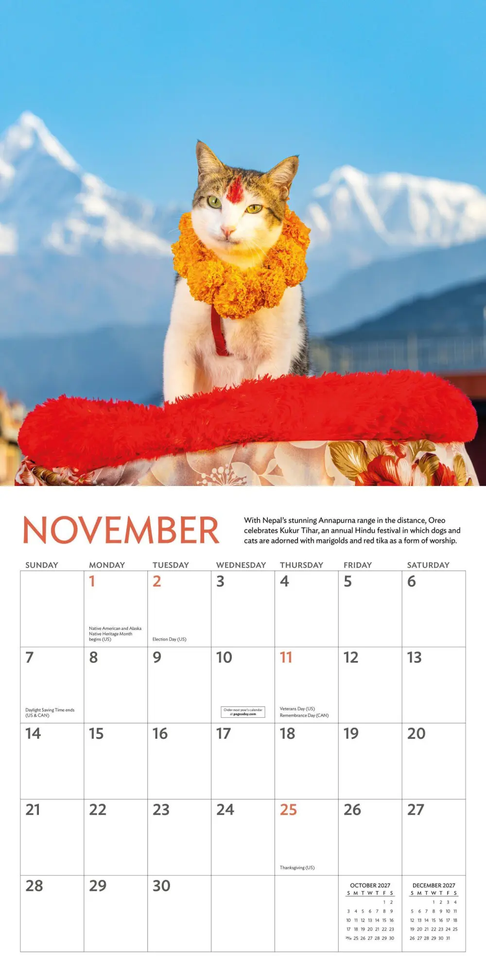 Bild: 9781523534784 | Cats of the World Wall Calendar 2027 | Andrew Marttila (u. a.) | 2027