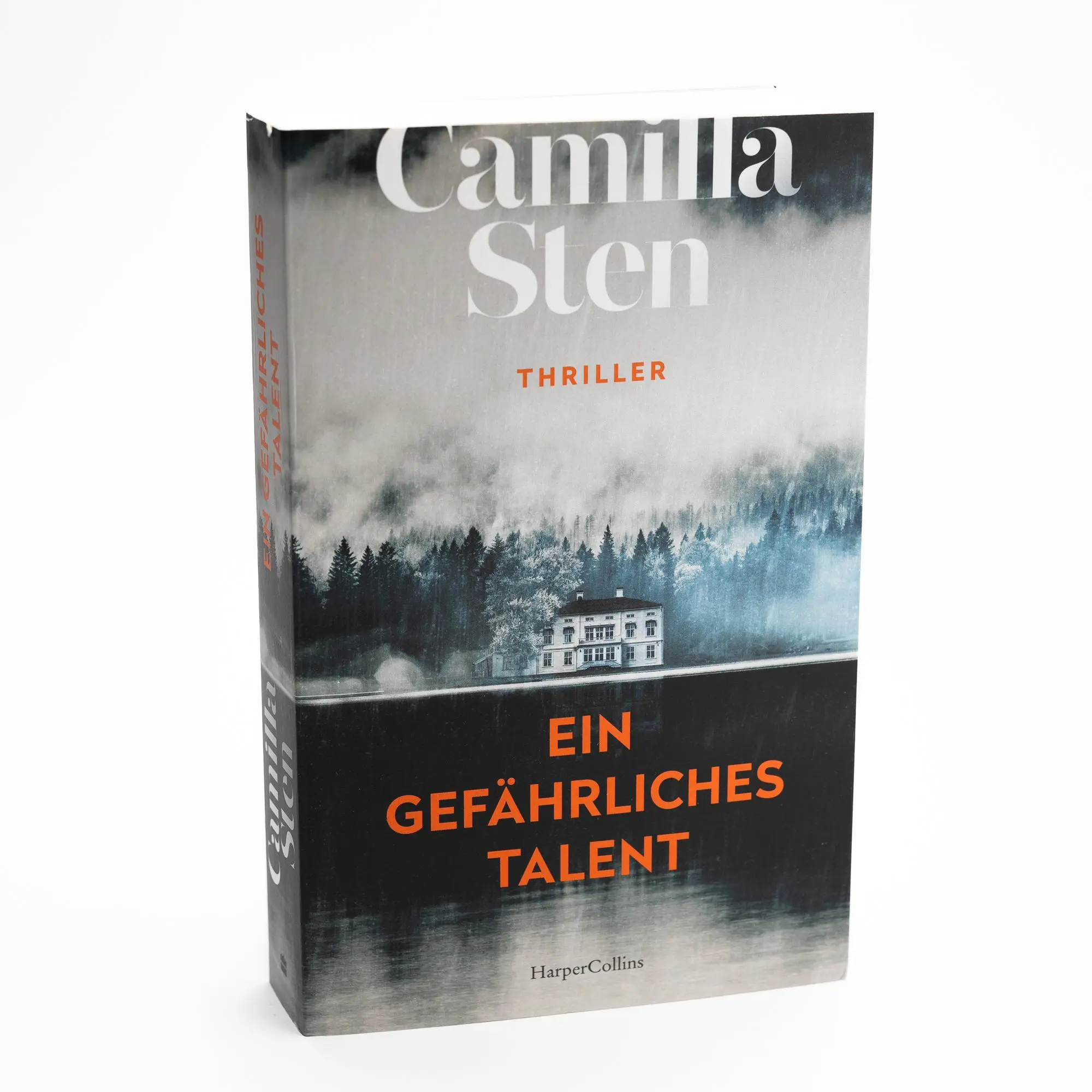Bild: 9783365004784 | Ein gefährliches Talent | Camilla Sten | Taschenbuch | 384 S. | 2024