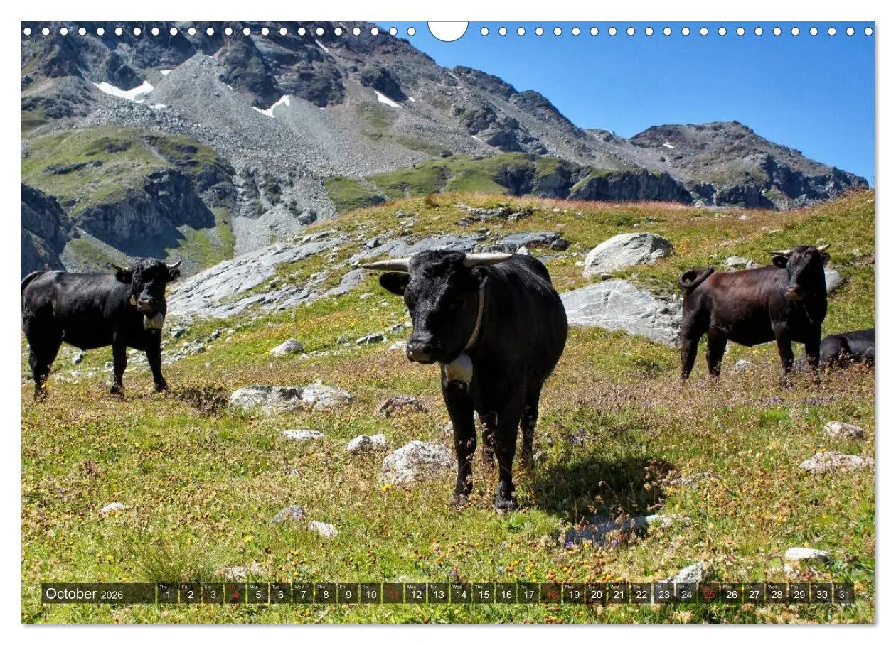 Bild: 9783516574784 | Valais Swiss Beauty (Wall Calendar 2026 DIN A3 landscape), CALVENDO...
