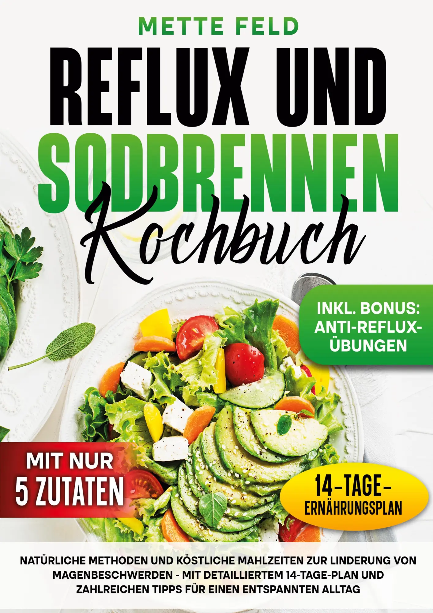 Cover: 9783989354784 | Reflux und Sodbrennen Kochbuch | Mette Feld | Taschenbuch | 94 S.