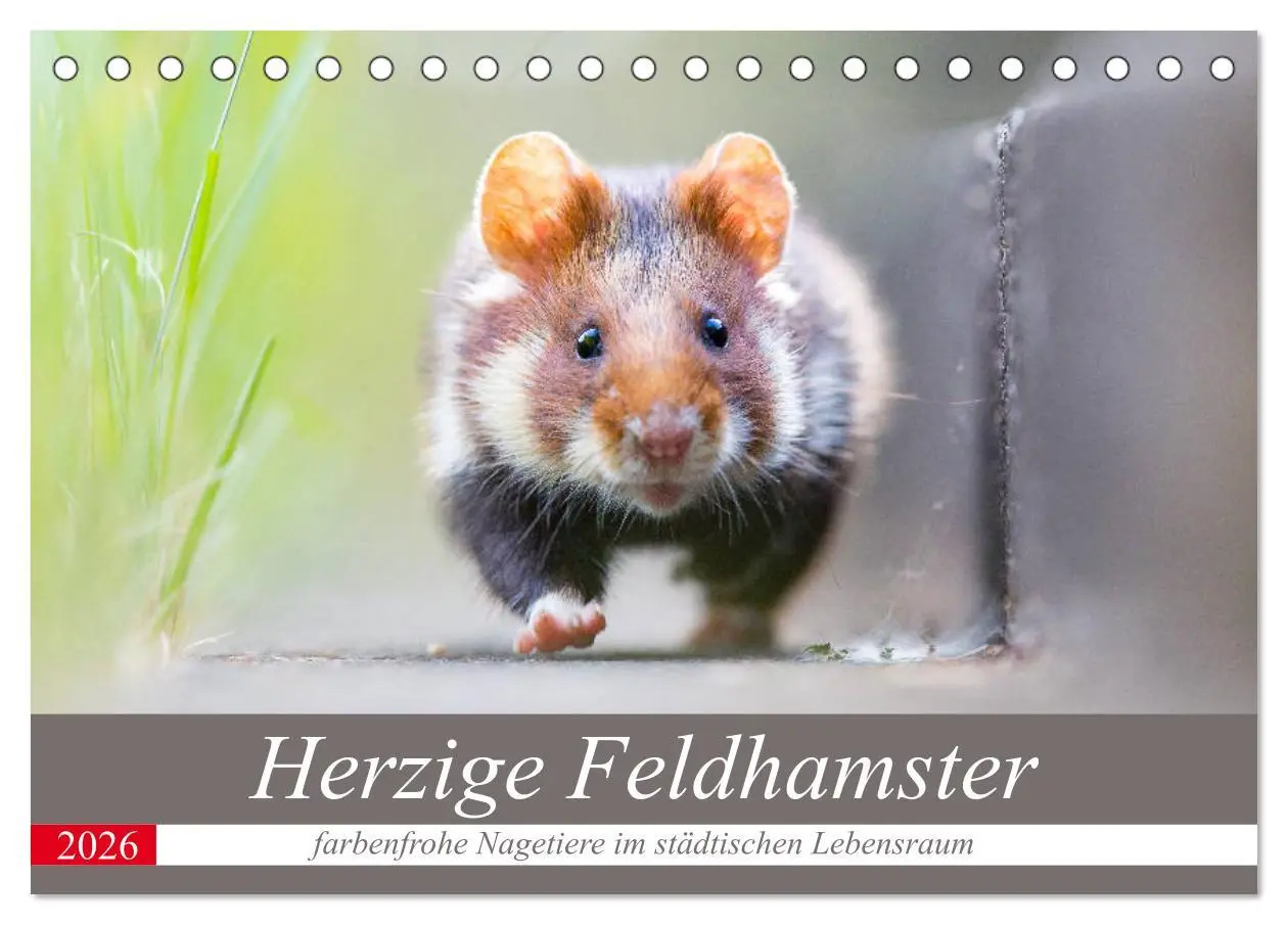 Cover: 9783457784884 | Herzige Feldhamster - farbenfrohe Nagetiere im städtischen...