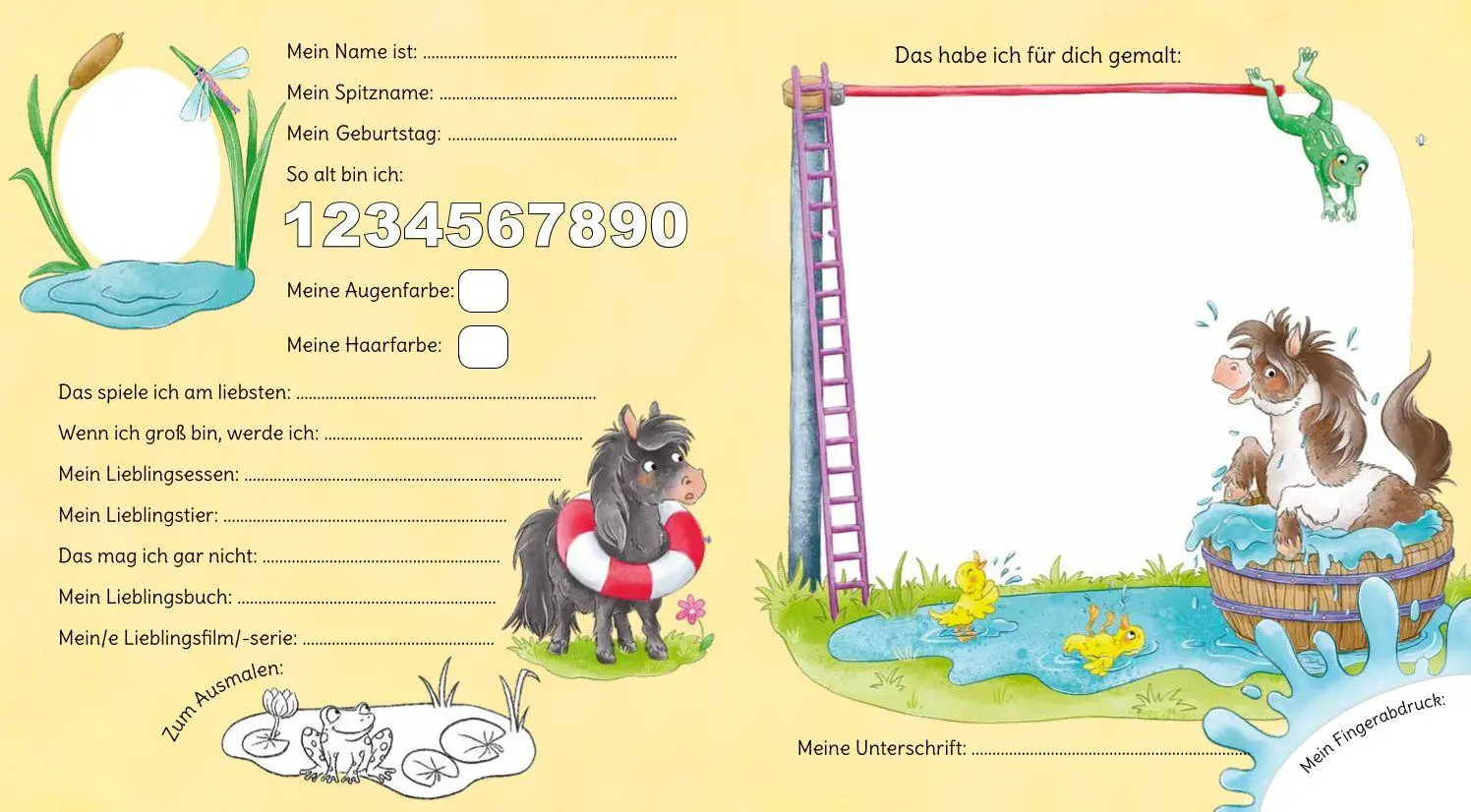 Bild: 9783780664884 | Meine Kindergartenfreunde | Ponys - mit Mähne auf dem Cover | Hecher