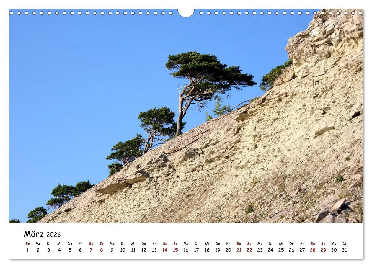 Bild: 9783457914984 | Gotland Impressionen (Wandkalender 2026 DIN A3 quer), CALVENDO...