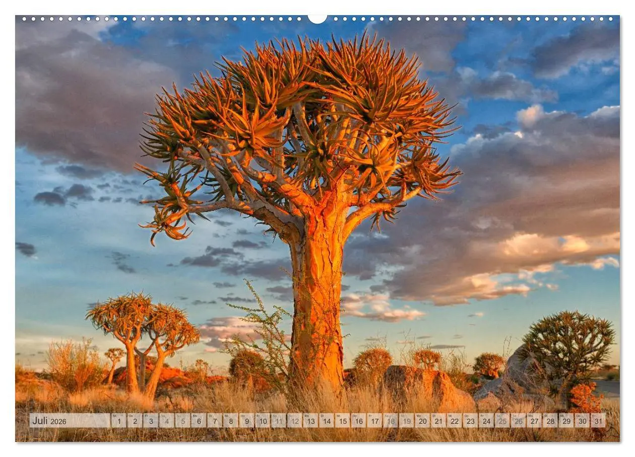 Bild: 9783516174984 | Südafrika Christian Heeb (Wandkalender 2026 DIN A2 quer), CALVENDO...