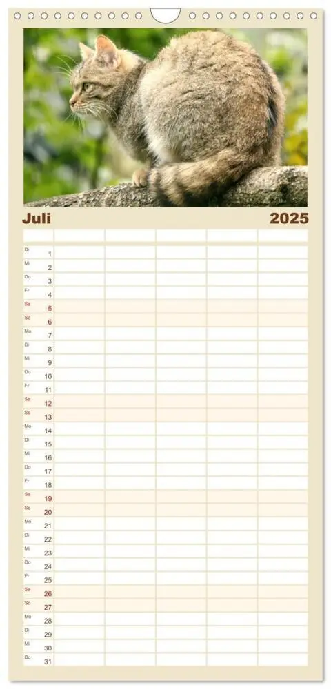 Bild: 9783457115084 | Familienplaner 2025 - Wildkatzen - Die lautlosen Jäger des Waldes...